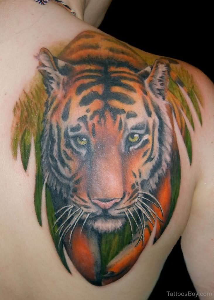 Realistic Tiger Head Tattoo On Right Back Shoulder