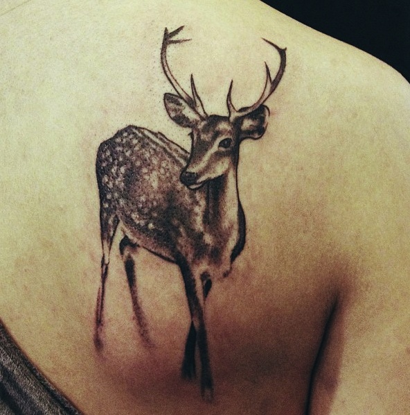 Right Back Shoulder Deer Head Tattoo Idea