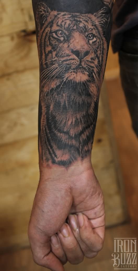 Right Forearm Grey Ink Tiger Head Tattoo