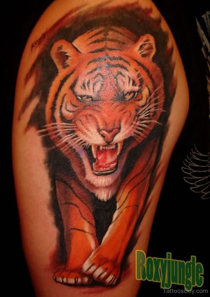 Right Half Sleeve Roaring Tiger Tattoo For Men