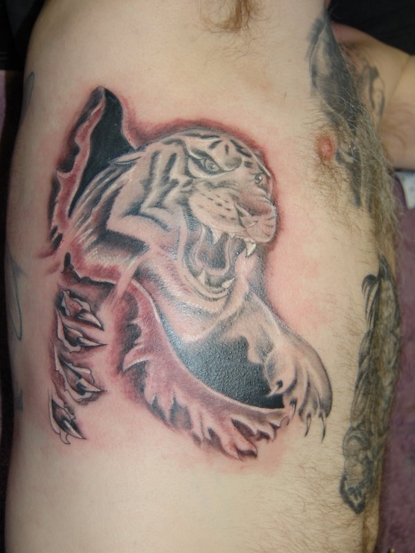 Ripped Skin Black And Grey Tiger Tattoo For Men