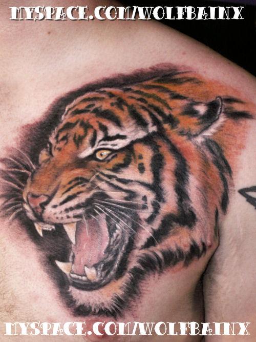 Roaring Tiger Tattoo On Man Chest