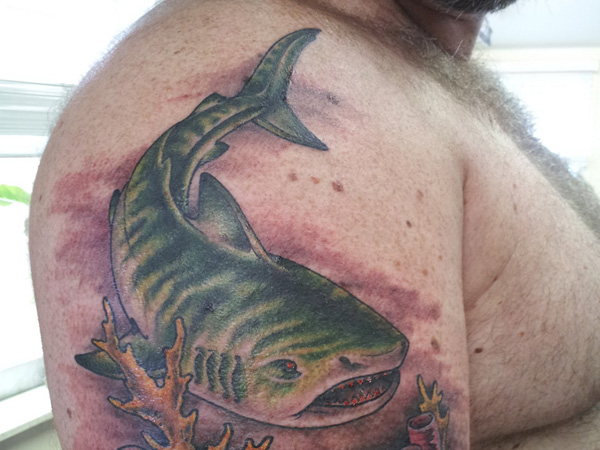 Scary Tiger Shark Tattoo On Man Right Shoulder By Tom Renshaw
