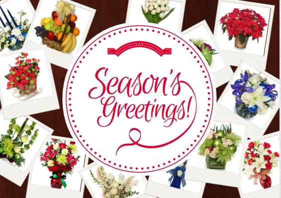 Season’s Greeting Card