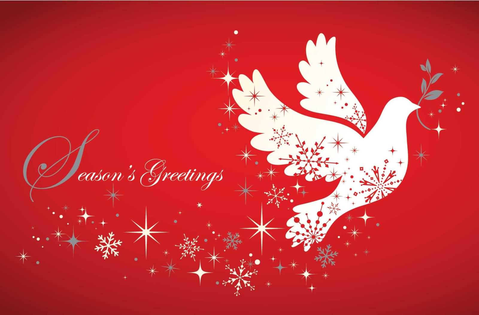 Season's Greetings Flying Dove Picture