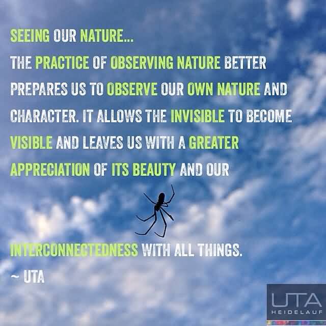 Seeing our nature.. the practice of observing nature better prepares us to observe our own nature and character. It allows the invisible to become visible...