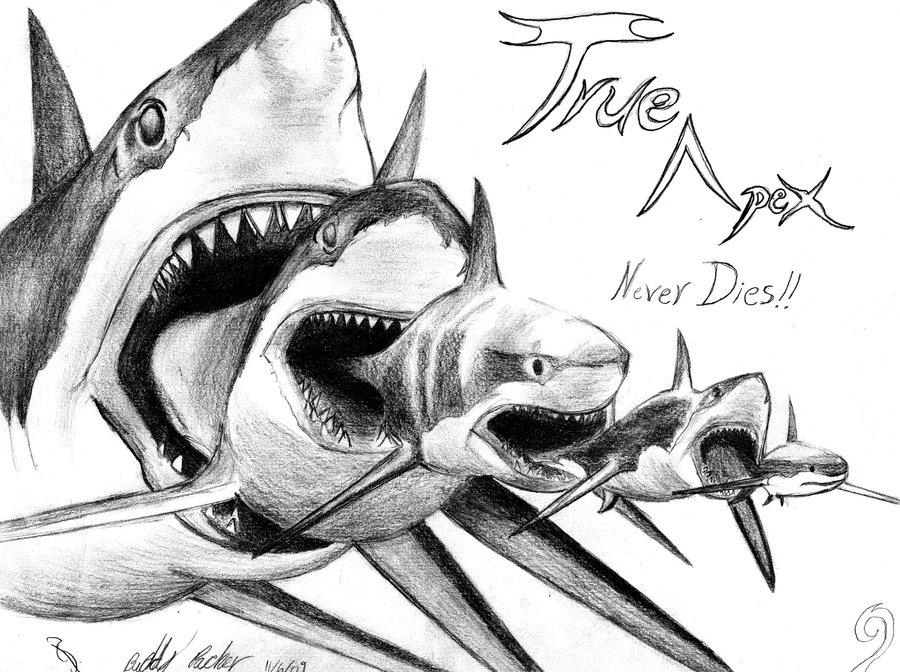 Shark Eat Shark World Tattoo Design