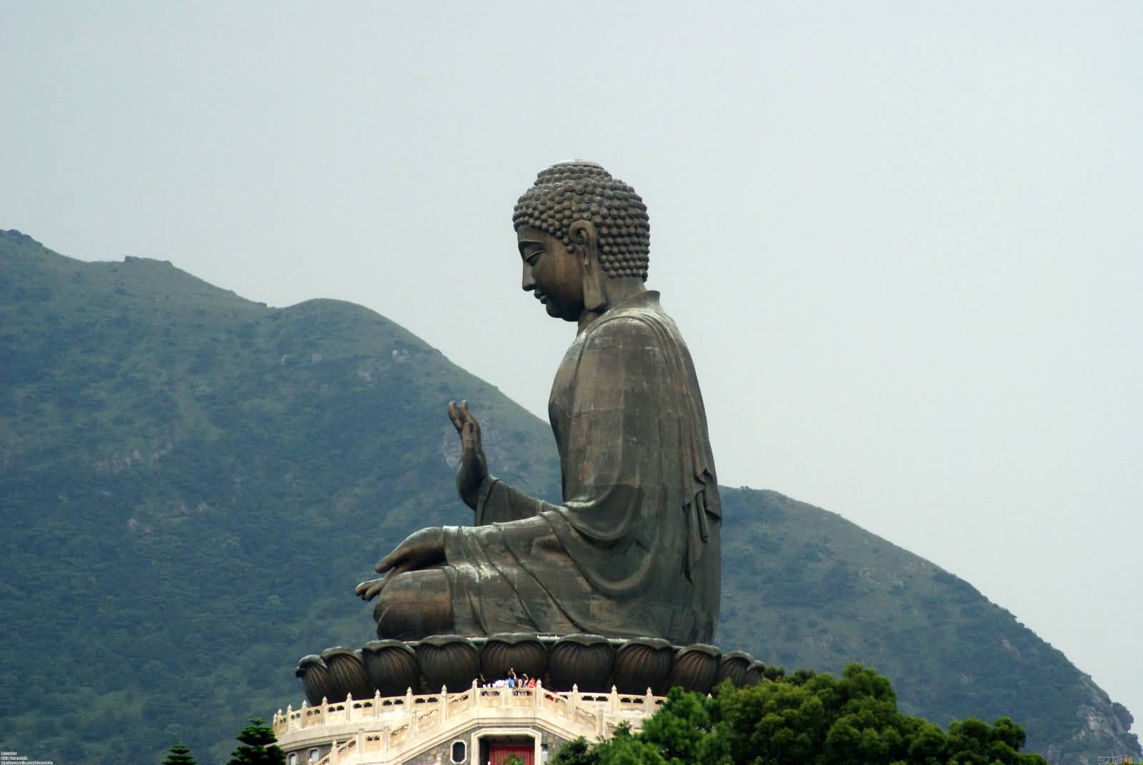 Side Pose Of Tian Tan Buddha