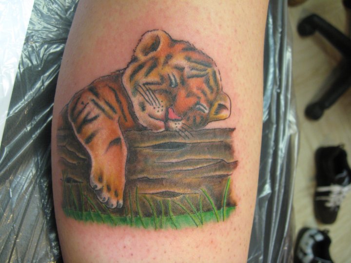 Sleeping Baby Tiger Tattoo On Leg