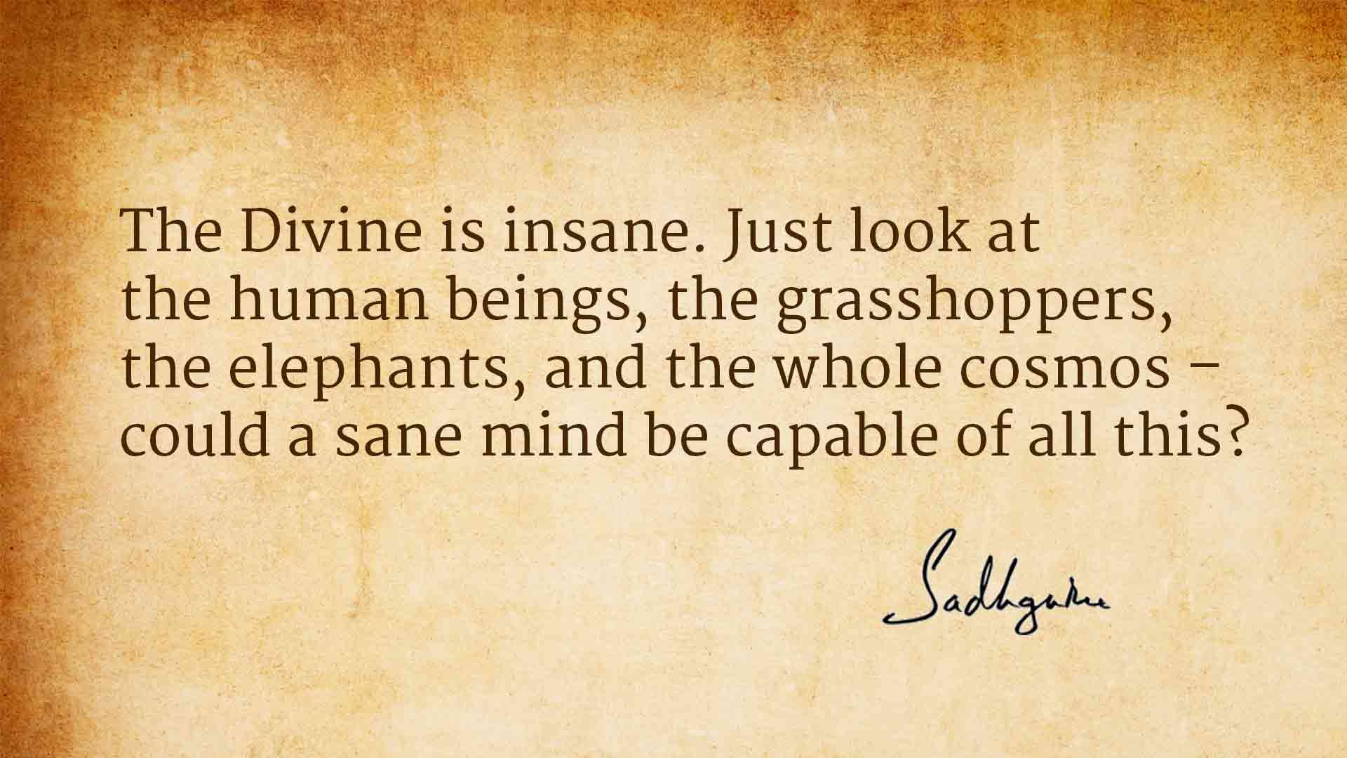 The Divine is insane. Just look at the human beings, the grasshoppers, the elephants, and the whole cosmos – could a sane mind be capable of all this1