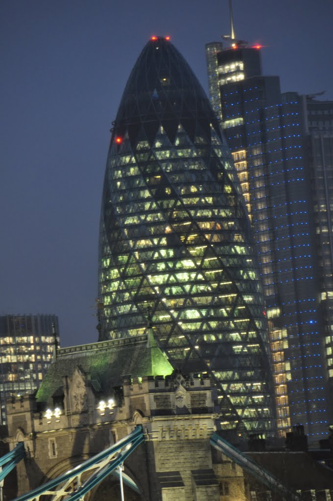The Gherkin At Night Picture