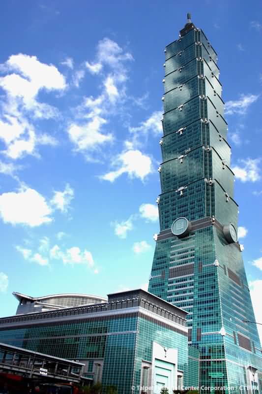 The Taipei 101 View
