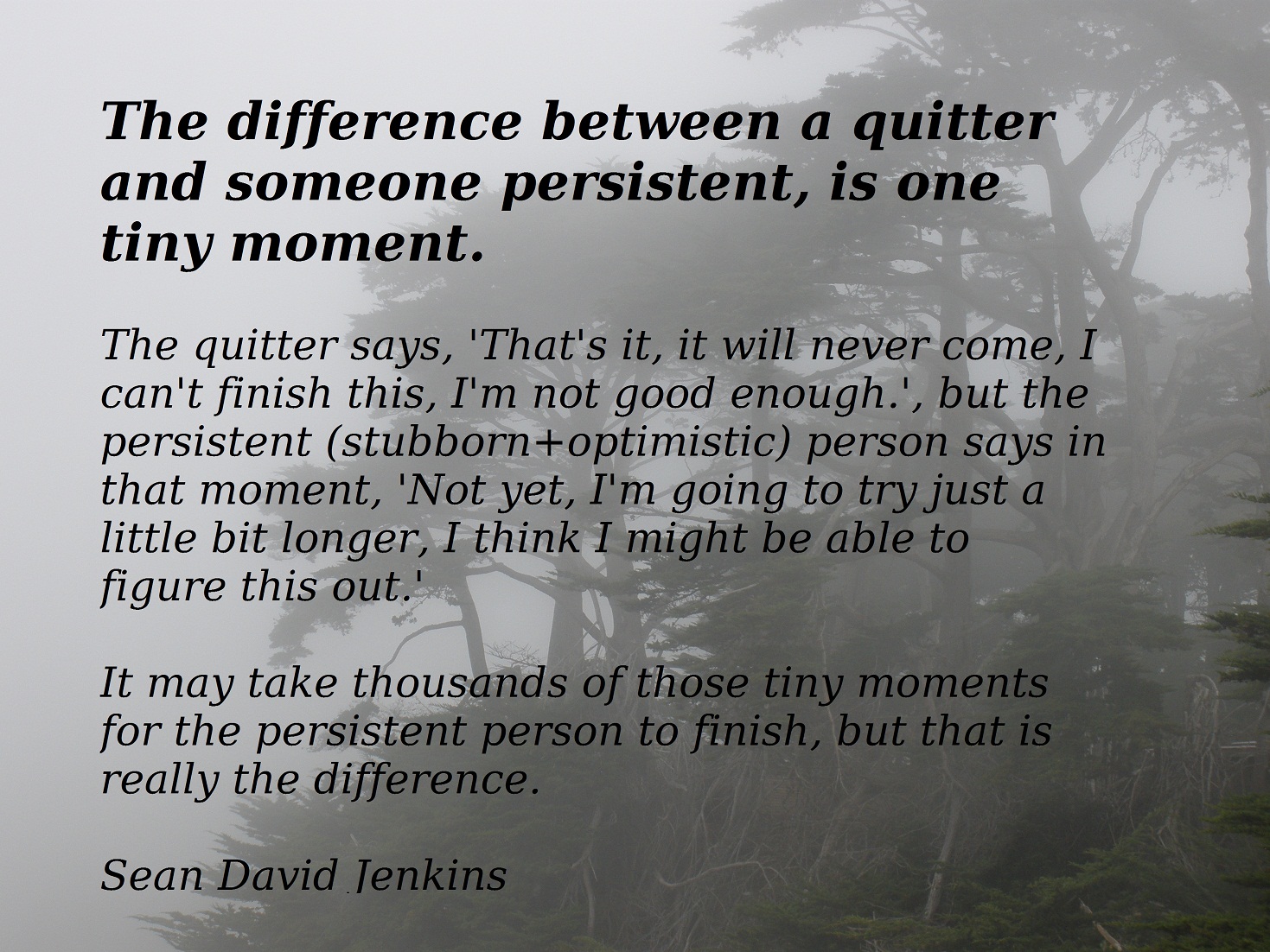The difference between a quitter and someone persistent, is one tiny moment. The quitter says, 'That's it, it will never come, I can't finish this, I'm ... Sean David Tenkins