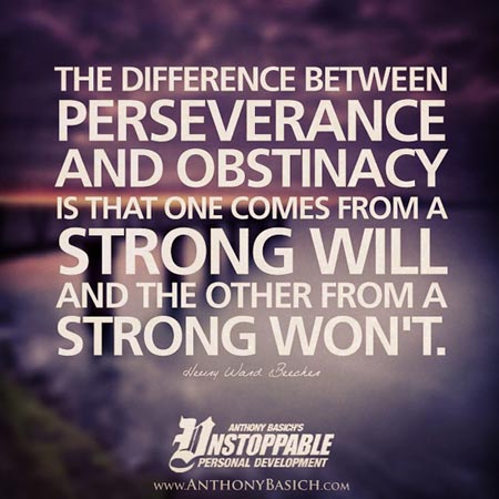 The difference between perseverance and obstinacy is that one comes from a strong will, and the other from a strong won't. Henry Ward Beecher