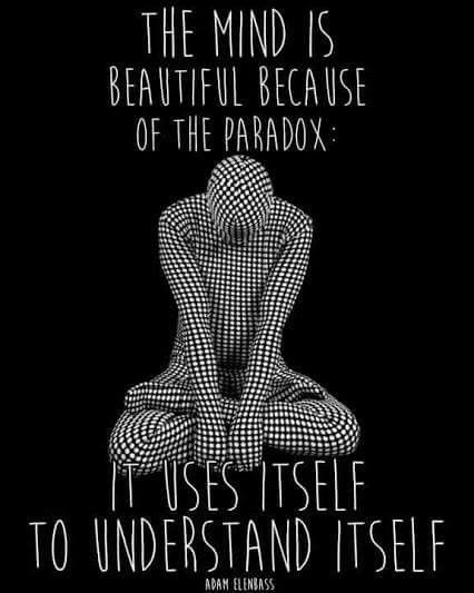 The mind is beautiful because of the paradox. It uses itself to understand itself