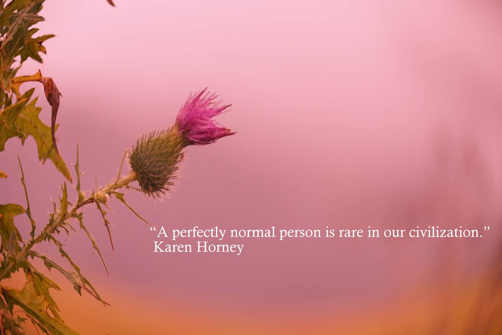 The perfect normal person is rare in our civilization. Karen Horney