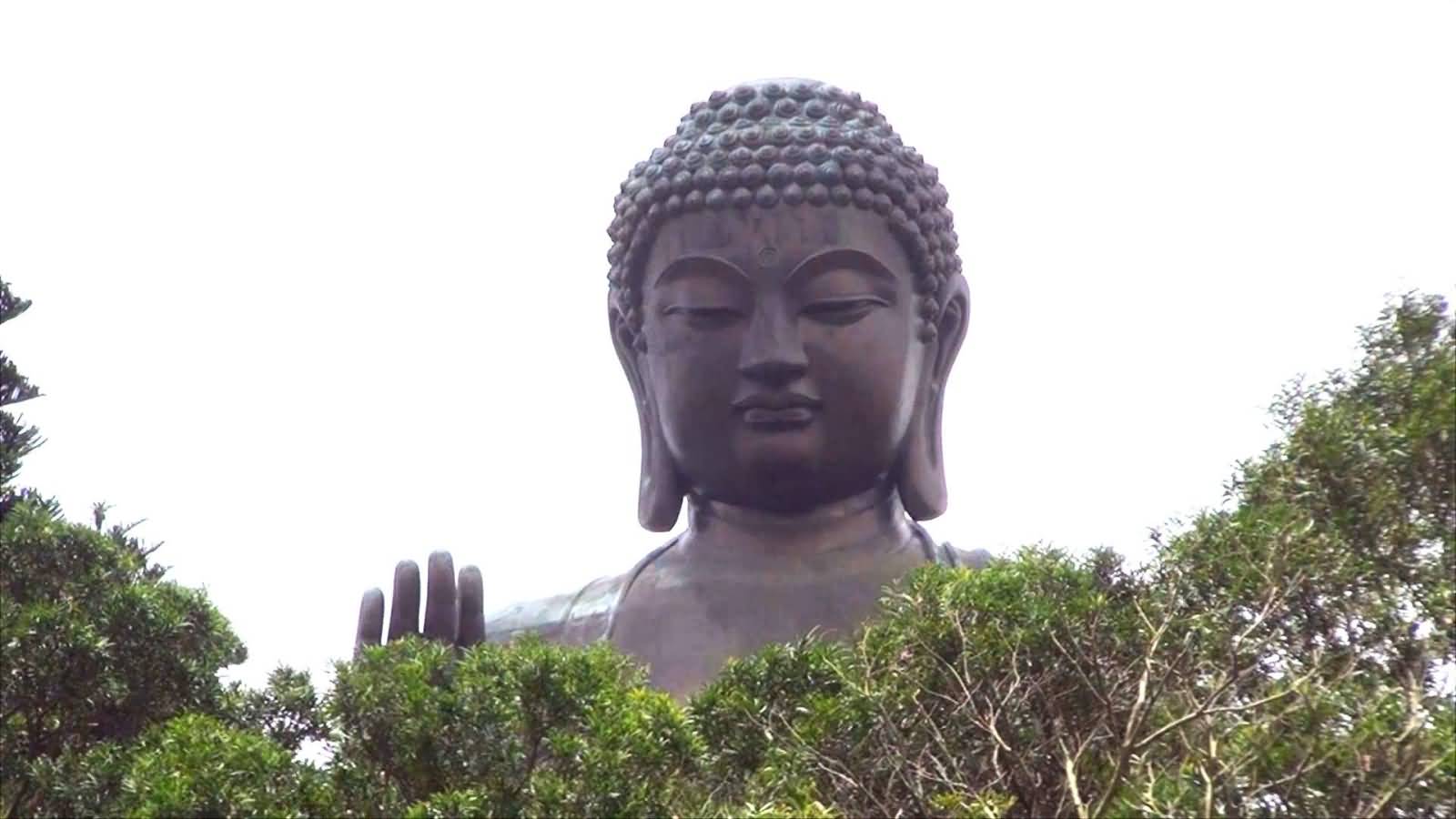 Tian Tan Buddha Statue Face View