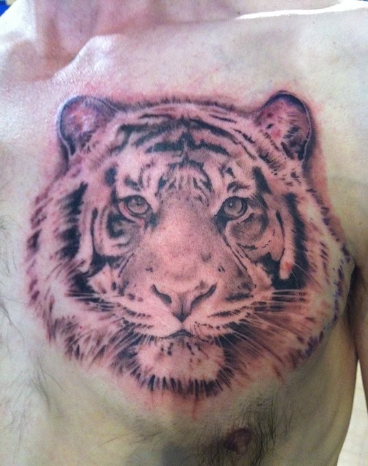 Tiger Face Tattoo On Chest For Men