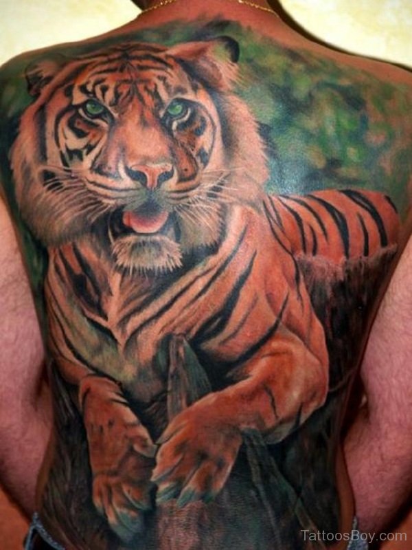 Tiger Tattoo On Full Back by Chris O'Donnell