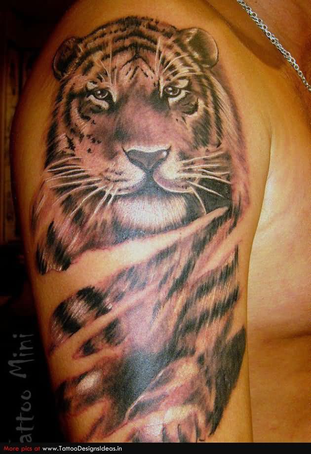 Tiger Tattoo On Man Right Half Sleeve