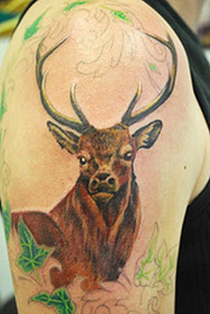 Traditional Deer Tattoo On Right Shoulder