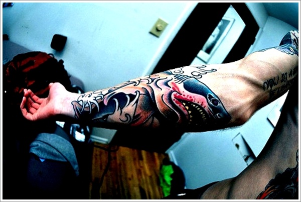 Traditional Shark Tattoo On Right Forearm