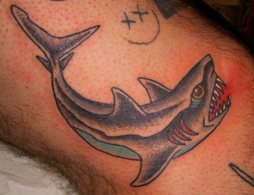 Traditional Tiger Shark Tattoo Design For Men