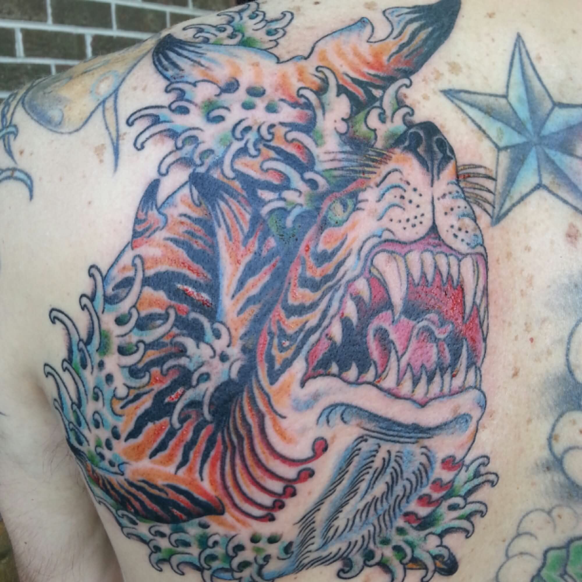 Traditional Tiger Shark Tattoo On Left Back Shoulder