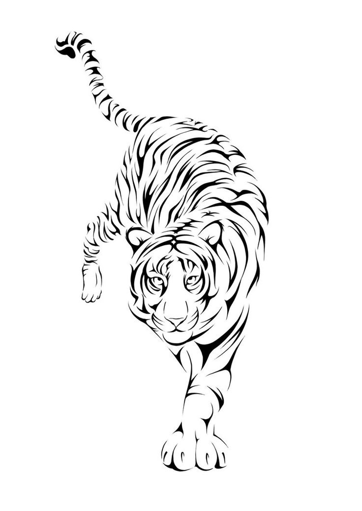 Tribal Tiger Tattoo Design Sample