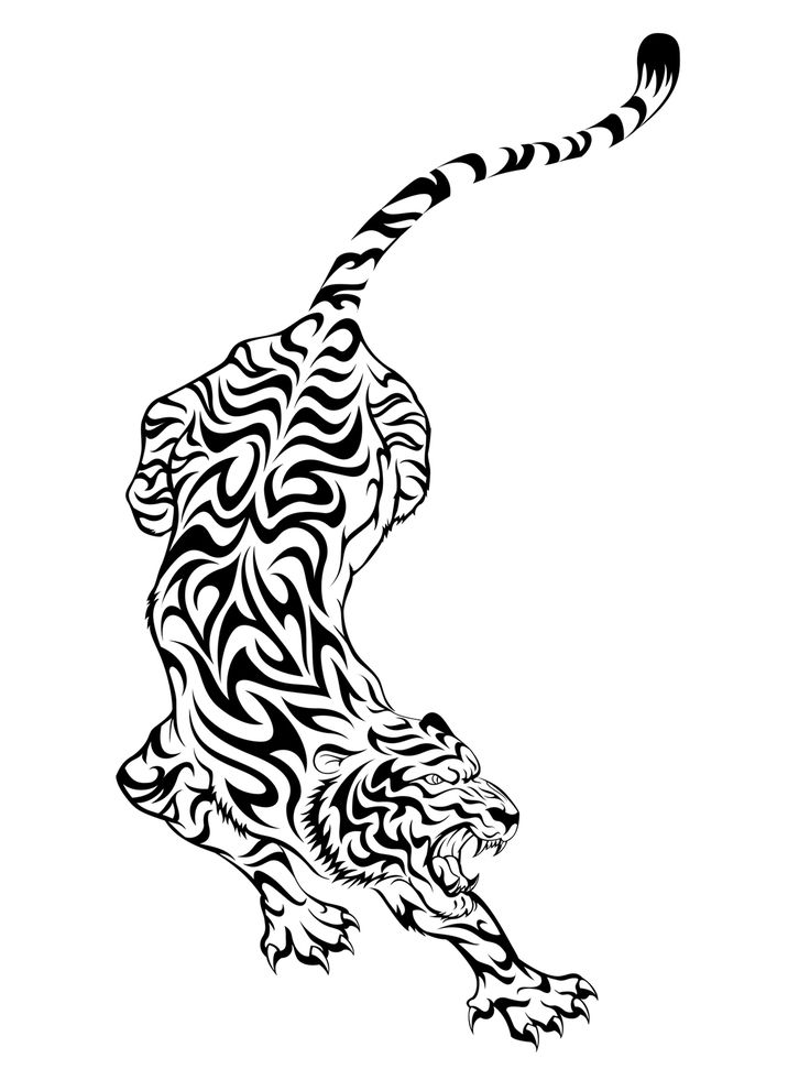 Tribal Tiger Tattoo Design