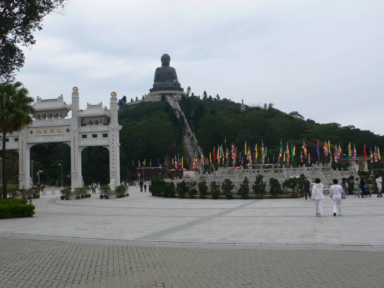 View Of Tian Tan Buddha From Po Lin Monastery