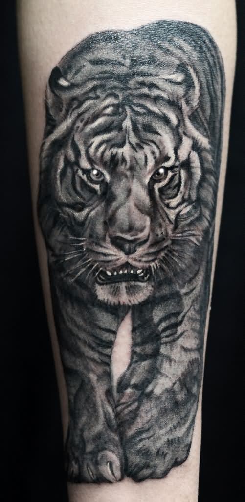 Walking Tiger Tattoo On Forearm
