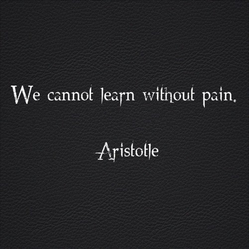We Can't learn without pain. Aristotle