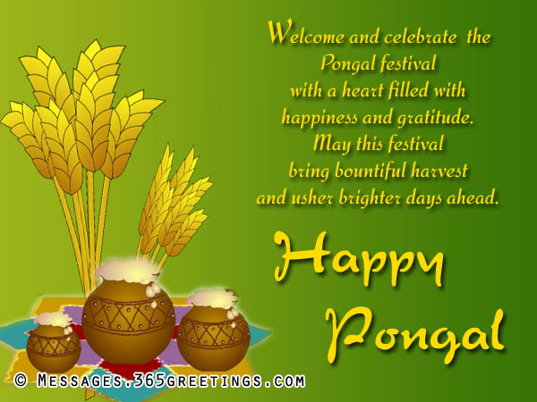 Welcome And Celebrate The Pongal Festival With A Heart Filled With Happiness And Gratitude. Happy Pongal