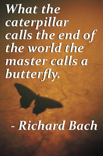What the caterpillar calls the end of the world the master calls a butterfly. Richard Bach