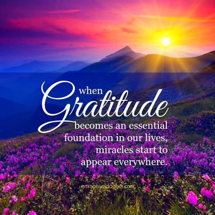 When Gratitude becomes an essential foundation in our lives, miracles start to appear everywhere