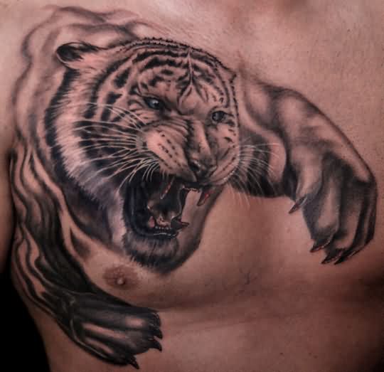 White And Grey Tiger Tattoo On Man Chest