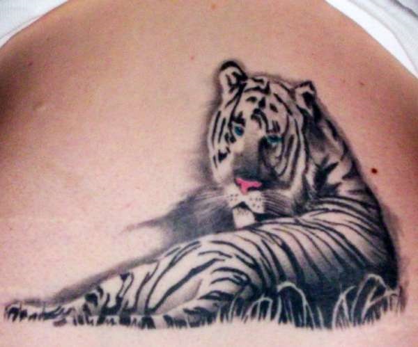 White Tiger Sitting Tattoo
