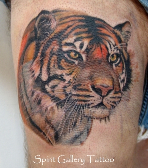 Wild Tiger Head Tattoo On Thigh by Spirit Gallery Tattoo