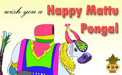 Wish You A Happy Mattu Pongal Animated Bull Picture