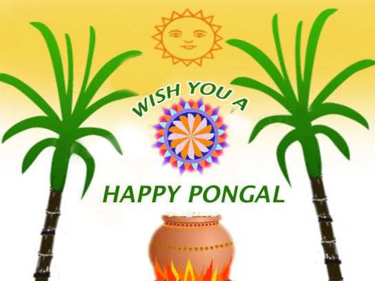 Wish You A Happy Pongal 2017