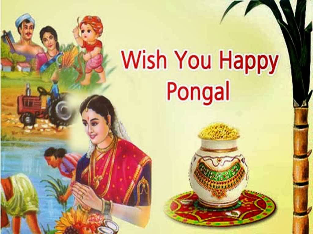 Wish You Happy Pongal 2017