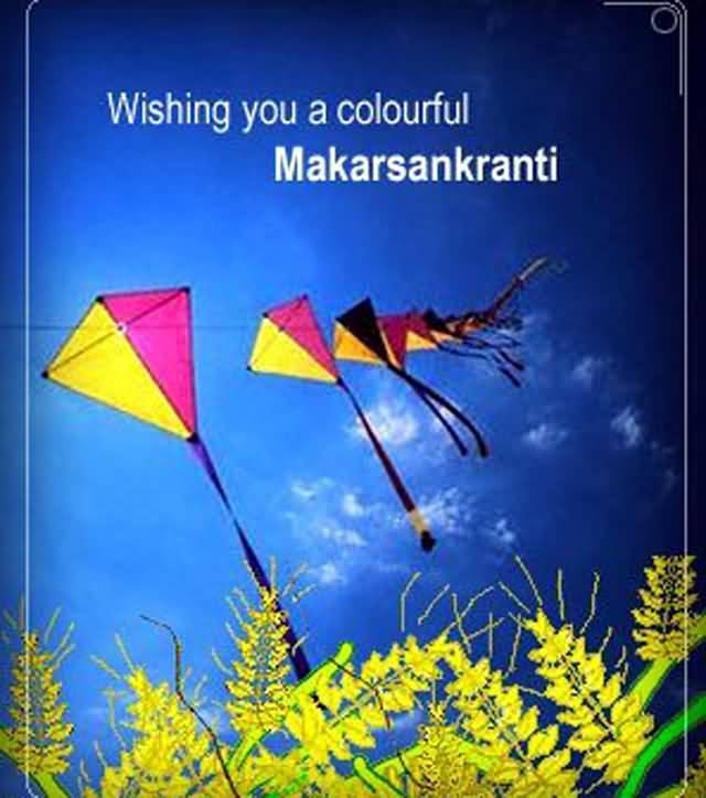 Wishing You A Colorful Makar Sankranti Greeting Card