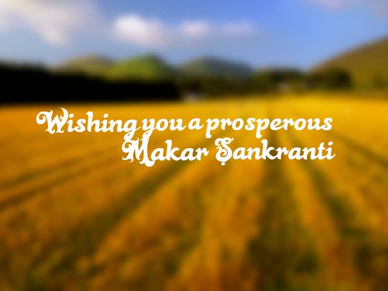 Wishing You A Prosperous Makar Sankranti
