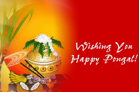 Wishing You Happy Pongal