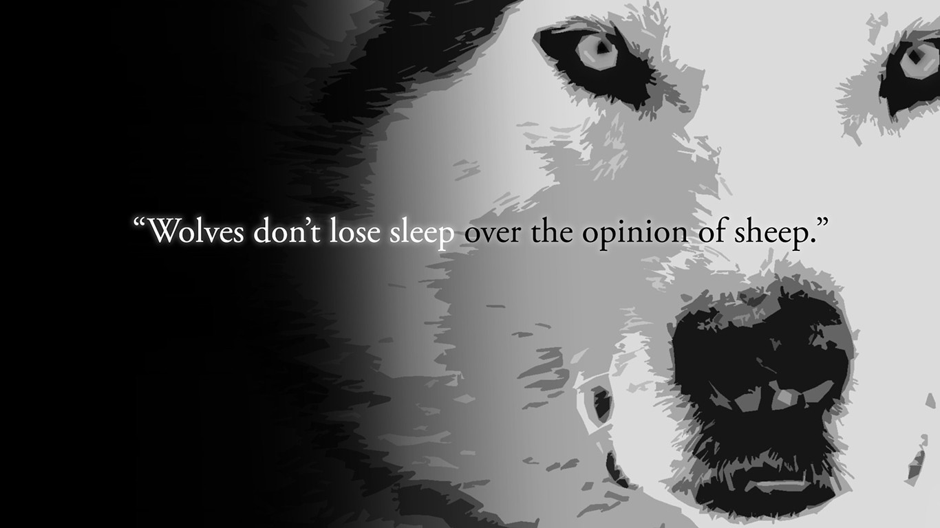 Wolves Dont Lose Sleep Over The Opinion Of Sheep