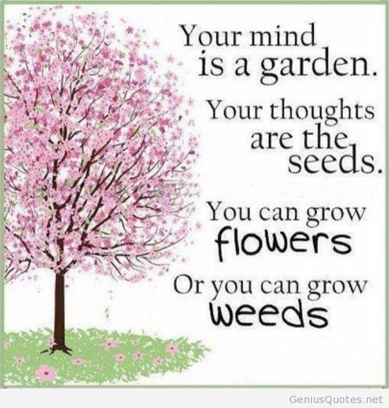 Your mind is a garden. Your thoughts are the seeds. You can grow flowers or you can grow weeds