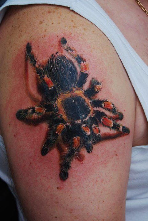 3D Spider Tattoo On Right Shoulder