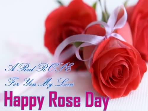 A Red Rose For You My Love Happy Rose Day Card