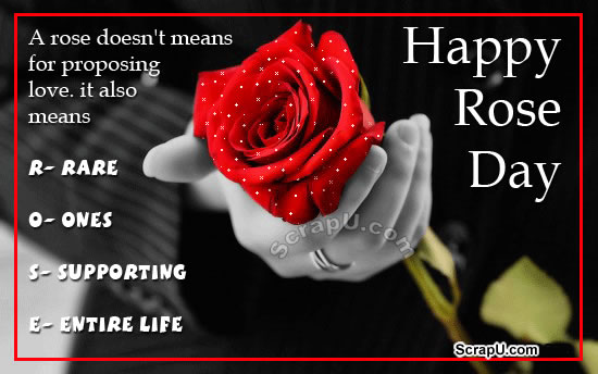 A Rose Doesn’t Means For Proposing Love. It Also Means Rare Ones Supporting Entire Life Happy Rose Day
